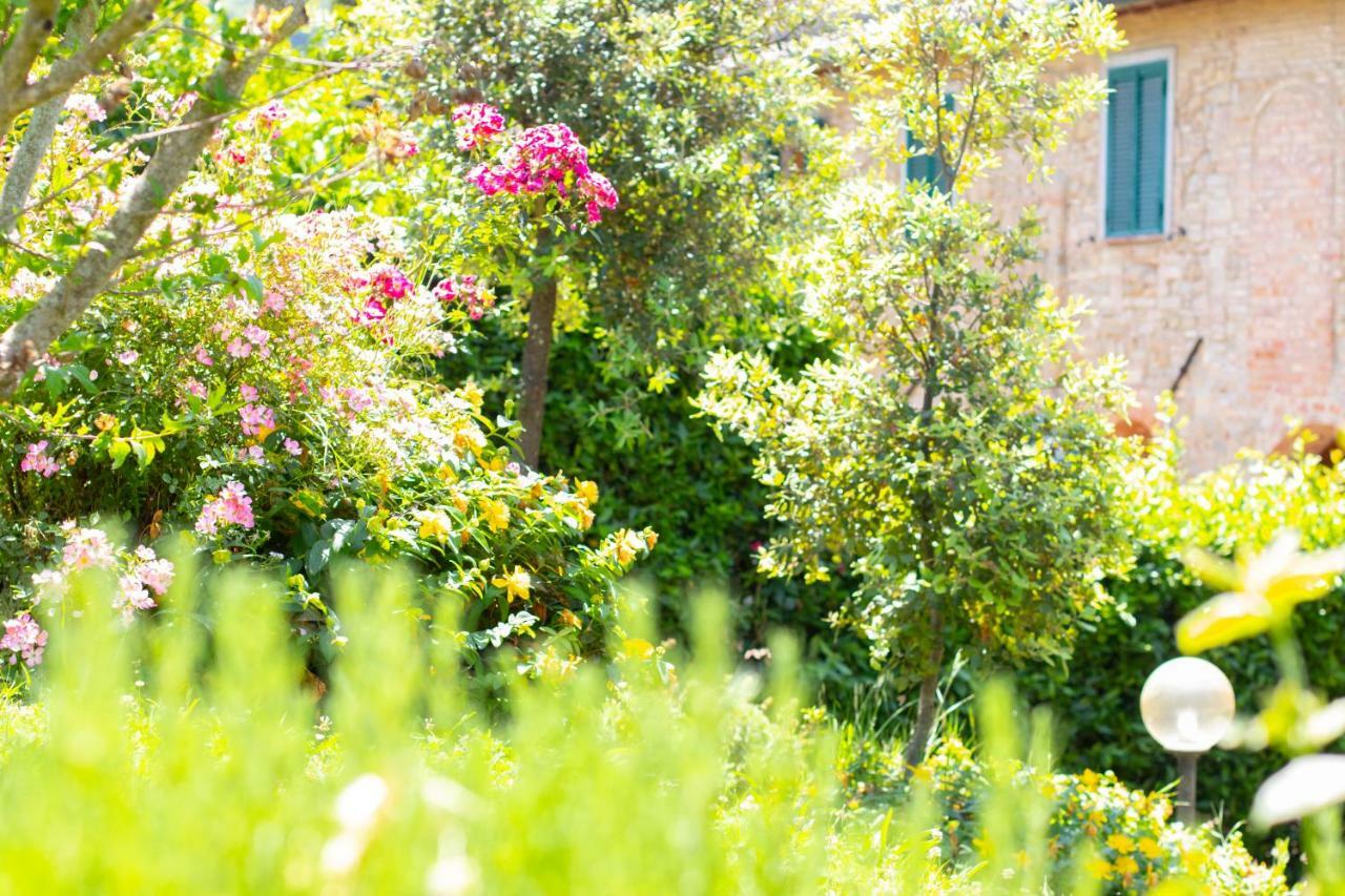 Agriturismo Filettro Volterra Exterior foto